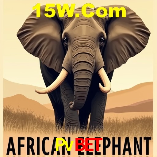 A Experiência Imersiva dos Cassinos Ao Vivo no Pvbet